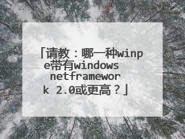 请教：哪一种winpe带有windows netframework 2.0或更高？