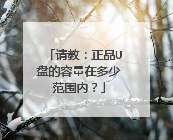 请教：正品U盘的容量在多少范围内？