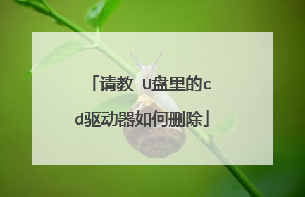 请教 U盘里的cd驱动器如何删除