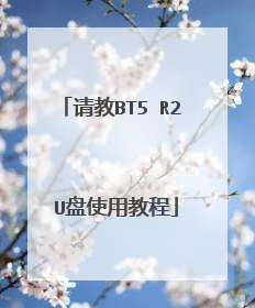 请教BT5 R2 U盘使用教程