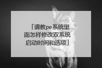 请教pe系统里面怎样修改双系统启动时间和选项