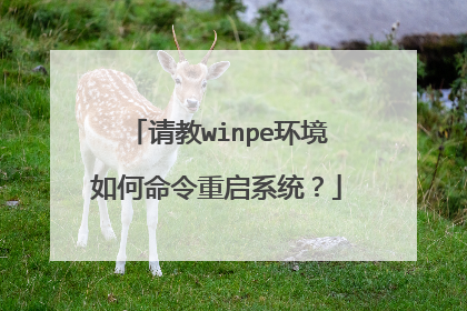 请教winpe环境如何命令重启系统?
