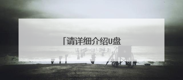请详细介绍U盘的作用与性能?