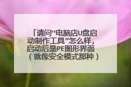 请问“电脑店U盘启动制作工具”怎么样,启动后是PE图形界面（就像安全模式那种），还是DOS界面?