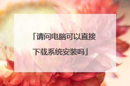 请问电脑可以直接下载系统安装吗