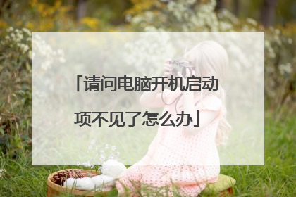 请问电脑开机启动项不见了怎么办