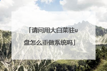 请问用大白菜驻u盘怎么重做系统吗