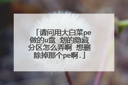 请问用大白菜pe做的u盘 划的隐藏分区怎么弄啊 想删除掉那个pe啊.