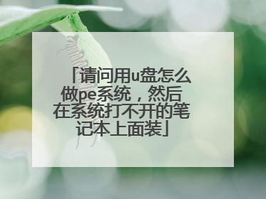 请问用u盘怎么做pe系统,然后在系统打不开的笔记本上面装