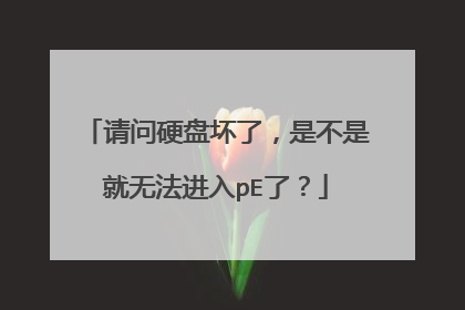请问硬盘坏了，是不是就无法进入pE了？