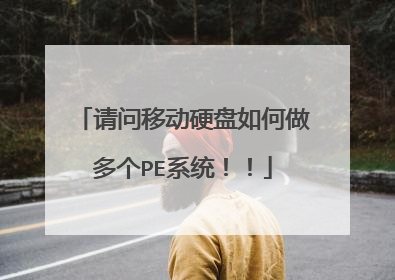 请问移动硬盘如何做多个PE系统!!