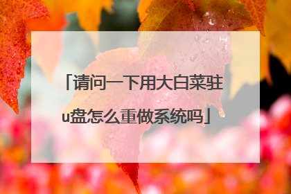 请问一下用大白菜驻u盘怎么重做系统吗