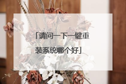 请问一下一键重装系统哪个好