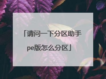 请问一下分区助手pe版怎么分区