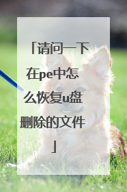 请问一下在pe中怎么恢复u盘删除的文件