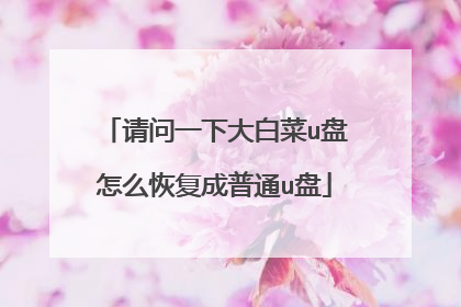 请问一下大白菜u盘怎么恢复成普通u盘