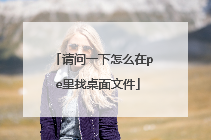 请问一下怎么在pe里找桌面文件