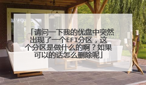 请问一下我的优盘中突然出现了一个EFI分区,这个分区是做什么的啊?如果可以的话怎么删除呢