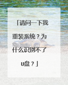 请问一下我重装系统?为什么识别不了U盘?