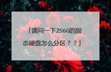 请问一下256G的固态硬盘怎么分区??
