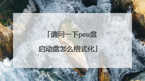 请问一下peu盘启动盘怎么格式化