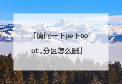 请问一下pe下boot,分区怎么删