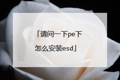 请问一下pe下怎么安装esd