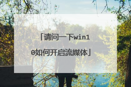 请问一下win10如何开启流媒体