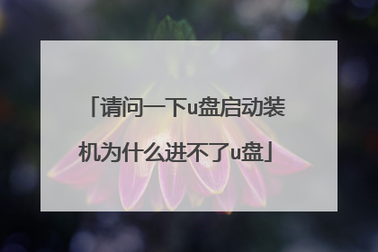 请问一下u盘启动装机为什么进不了u盘