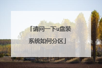 请问一下u盘装系统如何分区