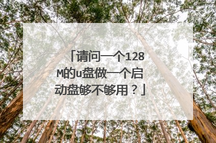 请问一个128M的u盘做一个启动盘够不够用?
