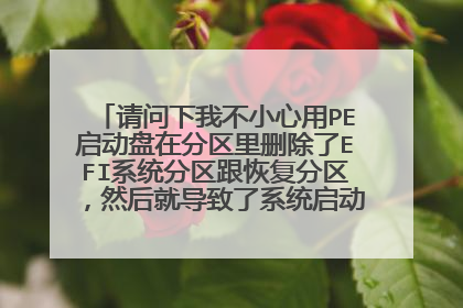 请问下我不小心用PE启动盘在分区里删除了EFI系统分区跟恢复分区,然后就导致了系统启动不了,怎么办