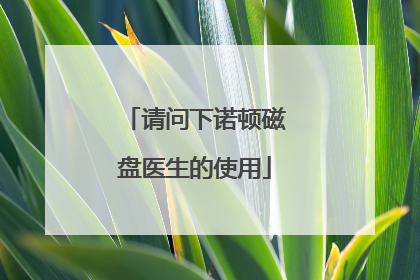 请问下诺顿磁盘医生的使用