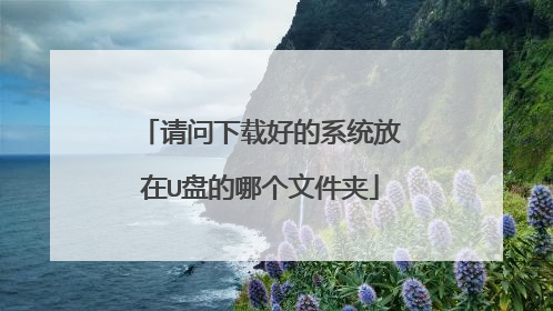 请问下载好的系统放在U盘的哪个文件夹