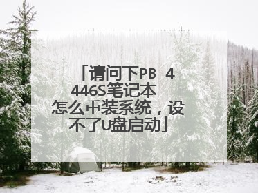 请问下PB 4446S笔记本 怎么重装系统,设不了U盘启动