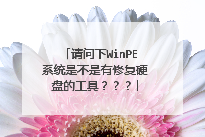 请问下WinPE系统是不是有修复硬盘的工具???