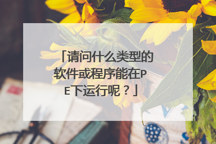 请问什么类型的软件或程序能在PE下运行呢？