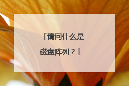 请问什么是磁盘阵列?