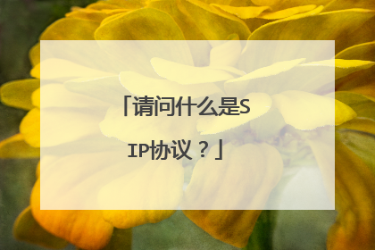 请问什么是SIP协议？