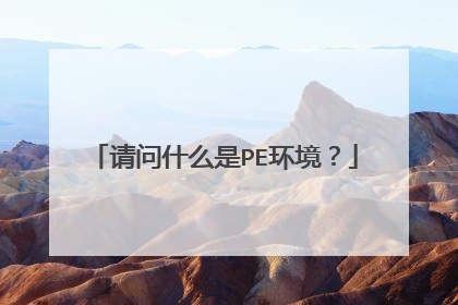 请问什么是PE环境？
