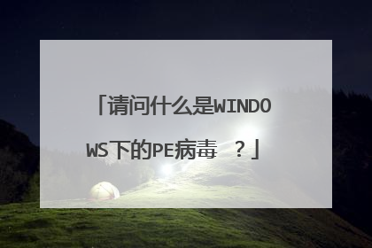 请问什么是WINDOWS下的PE病毒 ？