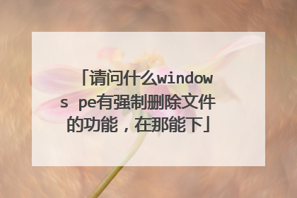 请问什么windows pe有强制删除文件的功能，在那能下