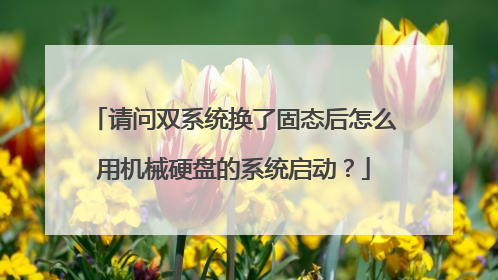 请问双系统换了固态后怎么用机械硬盘的系统启动？