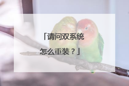 请问双系统怎么重装?