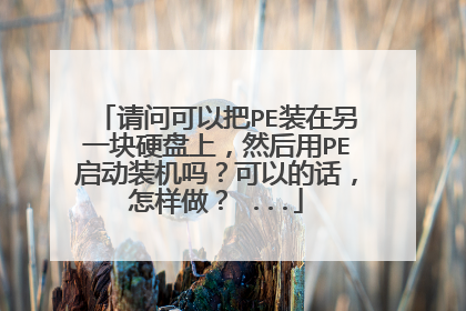请问可以把PE装在另一块硬盘上,然后用PE启动装机吗?可以的话,怎样做? ...