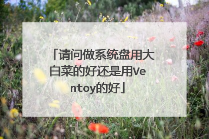 请问做系统盘用大白菜的好还是用Ventoy的好