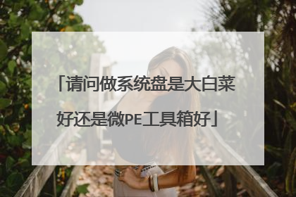 请问做系统盘是大白菜好还是微PE工具箱好