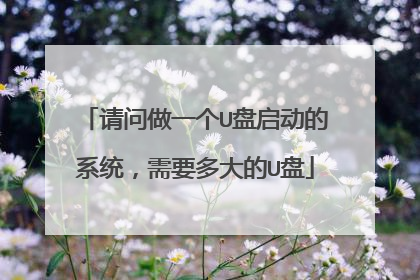 请问做一个U盘启动的系统,需要多大的U盘