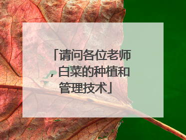 请问各位老师,白菜的种植和管理技术