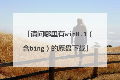 请问哪里有win8.1(含bing)的原盘下载